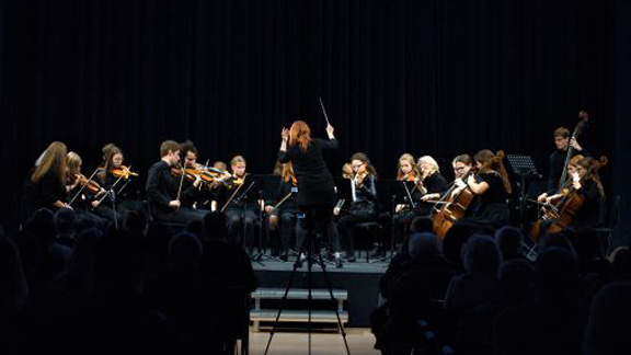Godalni orkester Kulturnega društva Stična