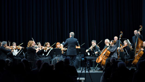 Glasbeno društvo Obalni komorni orkester