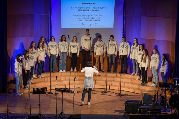 Mladinski mešani pevski zbor Gimnazije Brežic