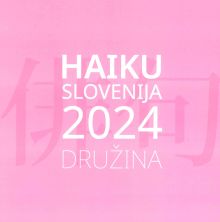 šolska glasila 2025
