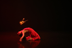 ALICIA PAULINA OCADIZ ARRIAGA