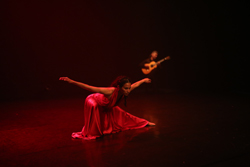 ALICIA PAULINA OCADIZ ARRIAGA