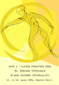 programska knjižica