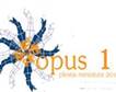 PLES_opus2011